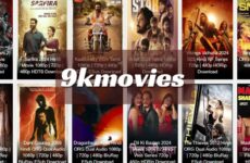 9kmovies.tools (1)