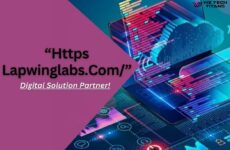 https lapwinglabs.com